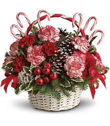 Candy Cane Christmas from Clermont Florist & Wine Shop, flower shop in Clermont